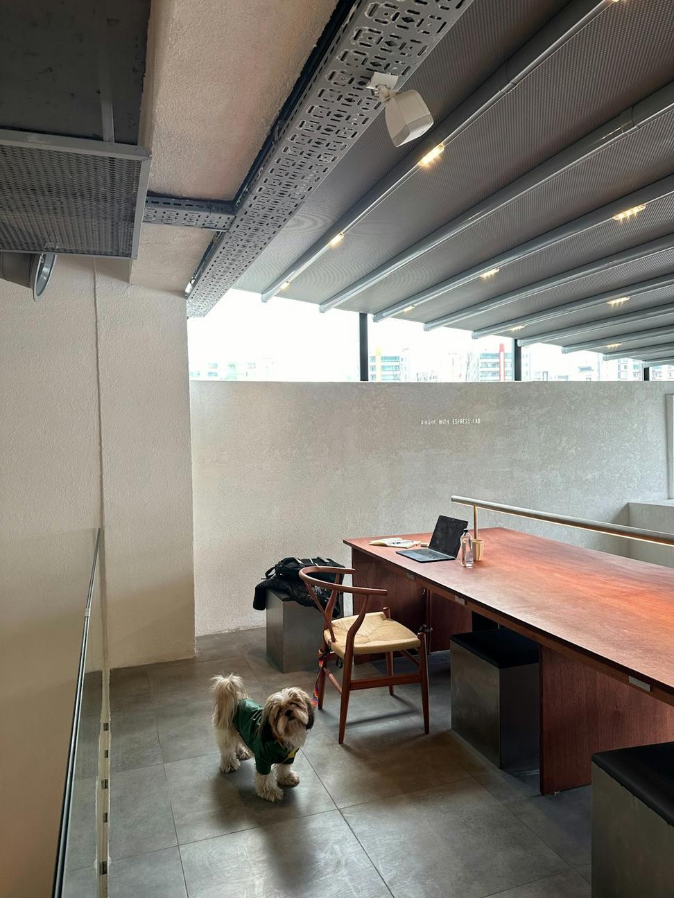 Wyrmflare Zenith Architects Studio